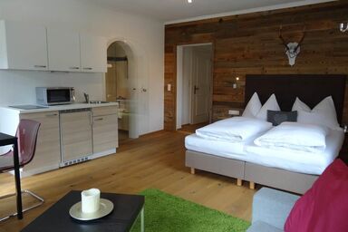 Appartements Blaickner GmbH & Co KG **** - App. "Typ 1"/Wohn-Schlafraum/Dusche, WC