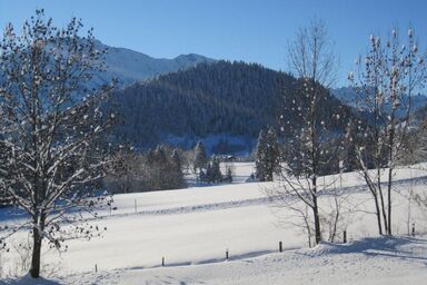 Bergbauernhof Haug - Ferienwohnung Alpenrose