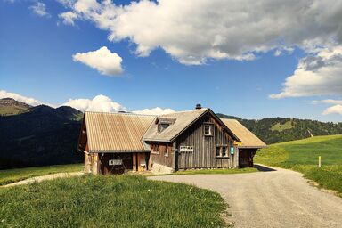 Alp-Ell mit Säntisblick