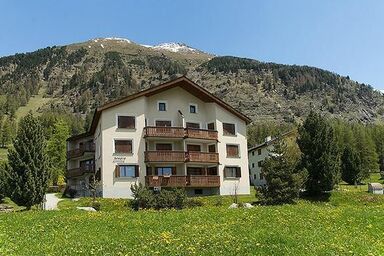 Studio-Appartement "Chesa Azalea 2" ÖV inklusive