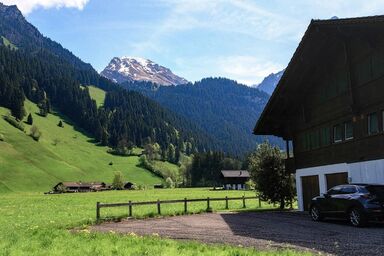 Chalet mit Bergblick