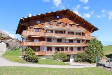 Appartement Ancien Comté 10, (Château-d'Oex). 1 chambre à coucher, 39m², 4 personnes