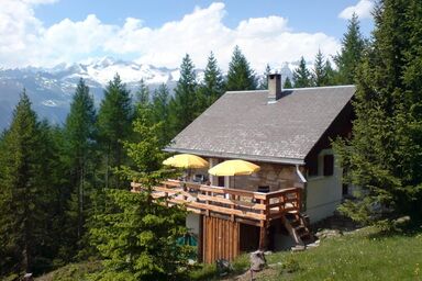 Chalet Bergfriede 5-Bettwohnung