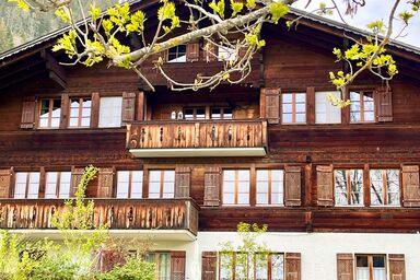 Akelei (klein) 3-Bettwohnung