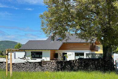 Römer Appartement mit sonniger Terrasse - Römer Appartement mit sonniger Terrasse, 40 qm, Wohnschlafraum