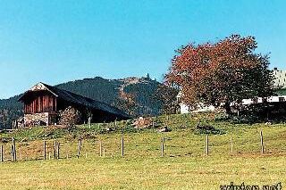 Landhof Steinhütte - Ferienwohnung