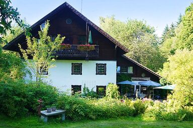 Grashöfle - Einzelzimmer