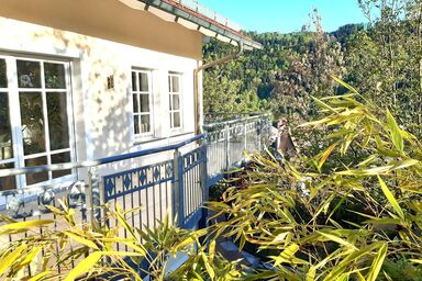 Ferienwohnung Am Fürstberg - Ferienwohnung