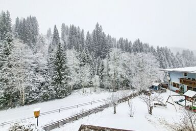 Fichtenblick - Fichtenblick .5