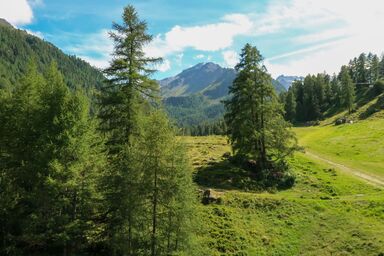 Mont-Fort 64 - Mont Fort 55 .4