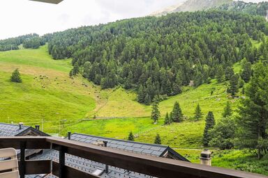 Mont Fort 35 - Mont Fort 16 .16