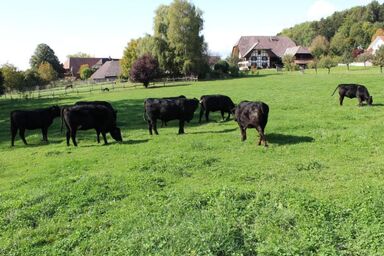 Leinacherhof - Leinacherhof .1