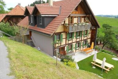 Lamahof Tschäppel - Lamahof Tschäppel .1