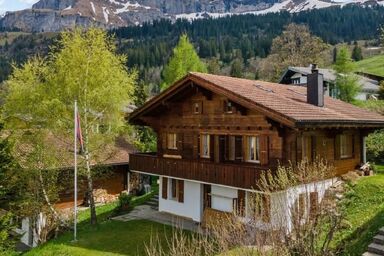 Chalet Specht - Chalet Specht .1