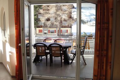 Alpenstern Distel - Alpenstern Distel .4