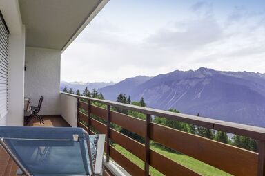 Clairière des Barzettes B14 - Clairière des Barzettes B14 .7