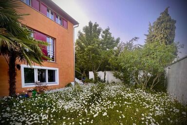 1,5 Zimmer Ferienwohnung - 1,5 Zimmer Ferienwohnung .1