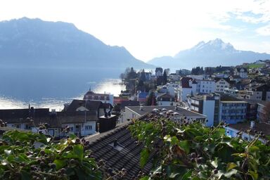 Wohnung mit herrlichem Blick auf den Pilatus - Wohnung mit herrlichem Blick auf den Pilatus .1