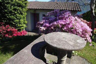 Öko-Haus C mit Gartenpool und herrlichem Seeblick - Öko-Haus C mit Gartenpool und herrlichem Seeblick .1
