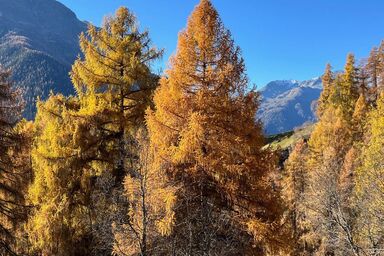 Chasa Ernst - Chasa Ernst .1