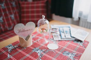 Gästehaus Sonnenplatzerl - Einzelzimmer Heimatgfühl