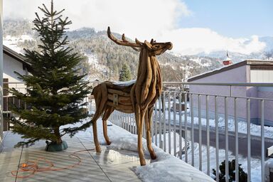 Haus Topa - Wunderhirsch
