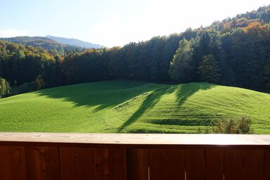 Urlaub im Grünen - Apartment  Schafbergblick