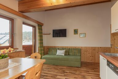 Gästehaus Sieder by Schladming-Appartements - Appartement Grün und Orange