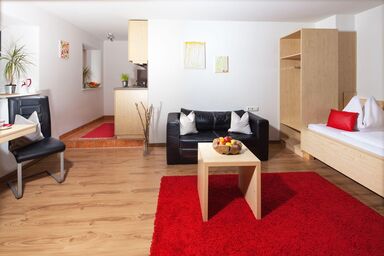 Das Au-Gut Hotel Apartment Camping - Studio - Erdgeschoß