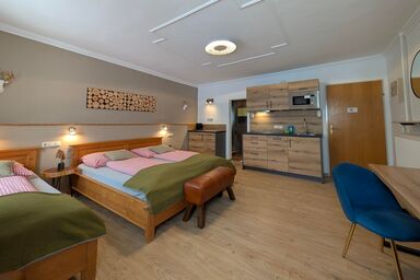 Das Au-Gut Hotel Apartment Camping - Studio für 1-3 Personen