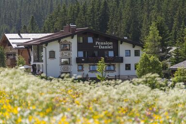 Daniel, Pension - Einzelzimmer