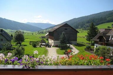 Holzer - Weberhof - Apartment mit Südblick