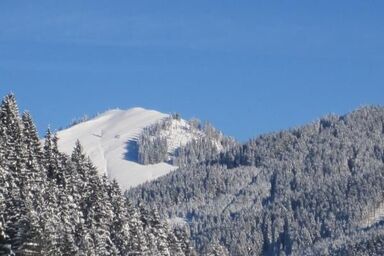 Bergbauernhof Haug - Fewo Enzian