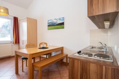 Apartmentdorf Flößerstube - Großes Apartment - 8 Bett (42m²)