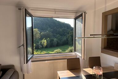Ferienwohnung Böhrer im schönen Leinleitertal
