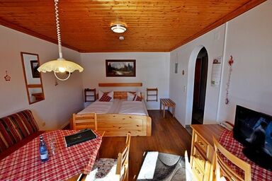 Landhaus Wildschütz - Edelweiss 3