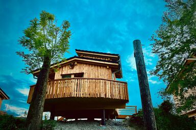 Wald ist Zukunft [Baumhaus Specht]