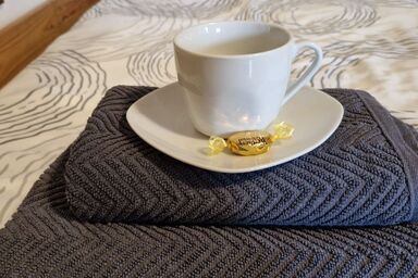 3100: Apartment RATZERSDORFER SEEN / Top 9