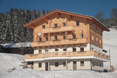Ferienwohnung Sonnblick in Hollersbach im Pinzgau