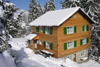 Chalet Good, (Flumserberg Tannenheim). 3.5 Zimmerwohnung mit Bad/Dusche