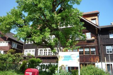 Thal Sankt Gallen Bodensee Appenzell Ausserrhoden