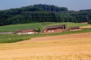 Appartement "Hof Eggweid" mit Blick auf die Berge