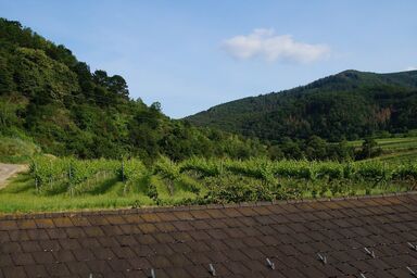 Weinbau und Gästezimmer Pammer - Appartement (68qm) für 5 Personen mit Balkon