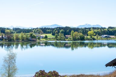Ferienwohnung Aribo - Ferienwohnung 48qm mit Bergblick und Seeblick vom Balkon