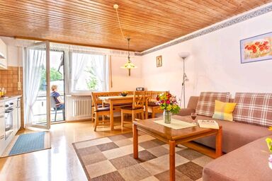 Steffis Landhof - Holunder