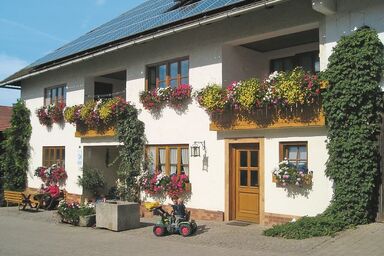 Ferienhof Ring - Ferienhaus II - 70 qm