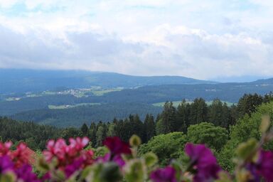 Ferienhof Kagerbauer - Ferienwohnung Balkon