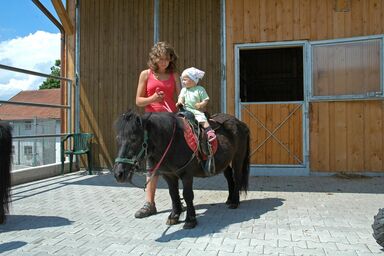 Almerhof - Waldferienhof Almer - Ferienwohnung Linde