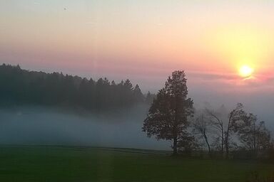 Ferienwohnung Miedl - „Neuhäusler Idyll“ ruhige Ferienwohnung mit sonnigem Südbalkon