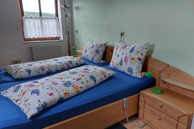 Ferienwohnung Maria Bauer - Ferienwohnung am Donauradweg 'Tour de Baroque'